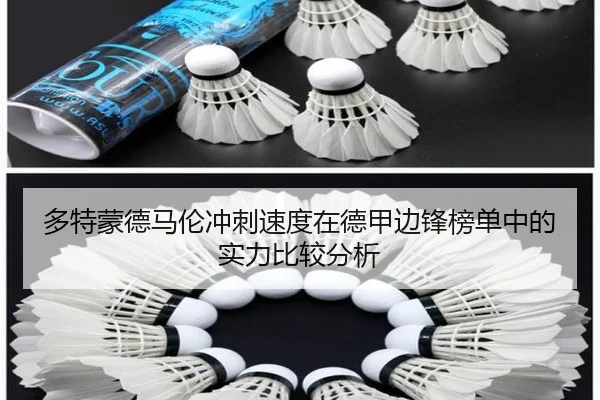 多特蒙德马伦冲刺速度在德甲边锋榜单中的实力比较分析